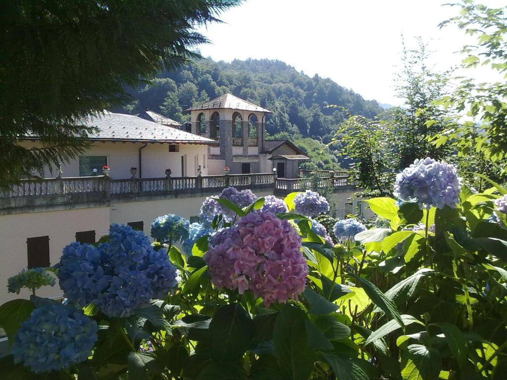 Hotel Villa Delle Ortensie Sant'Omobono Imagna エクステリア 写真